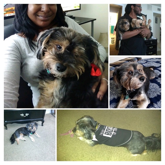 Meet your Posher, Booker - Picture 1 of 1